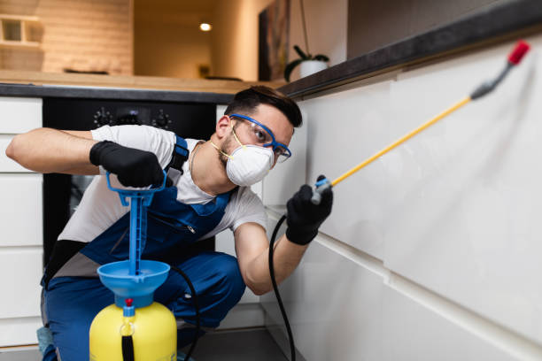 Best Pest Prevention Services  in Fellsburg, PA