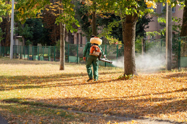 Best Pest Control for Businesses  in Fellsburg, PA