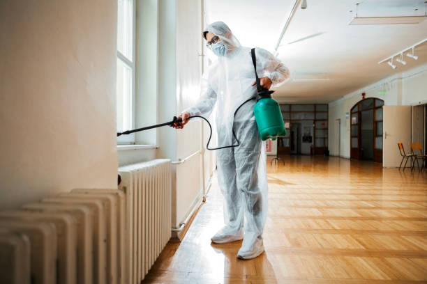 Flea Control Services in Fellsburg, PA