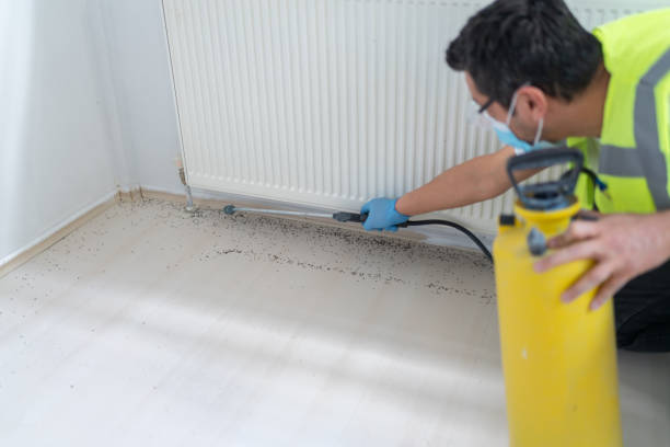 Best Pest Removal Services  in Fellsburg, PA